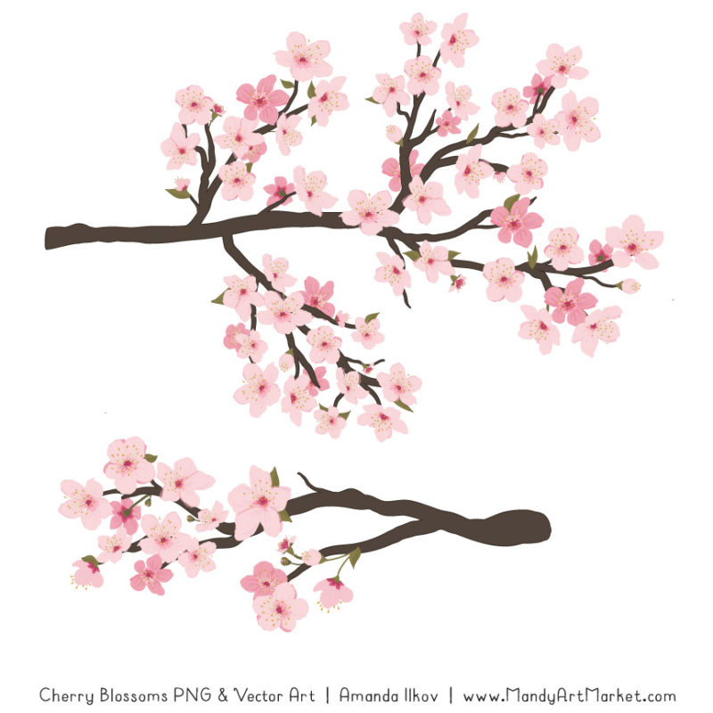 Free Cherry Blossom Clipart Vectors by Mandy - Mandy Art Market